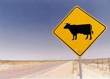 北欧城市建造游戏《Frozenheim》 现已在Steam发售